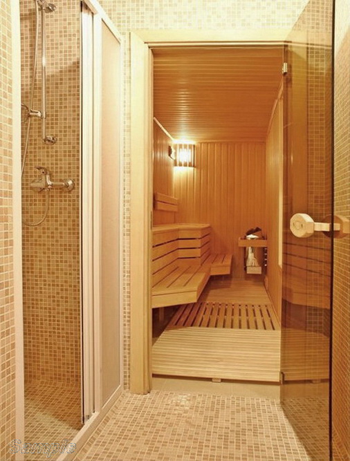 Model SN-01. Glass door for sauna and bath made of bronze transparent glass