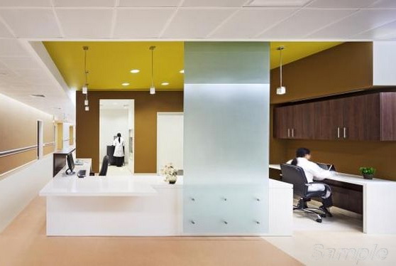 Glass office partition