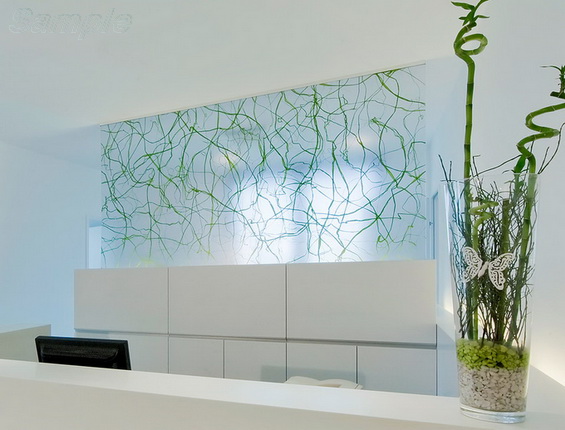 Glass partition in an elegant hallway of a beauty salon