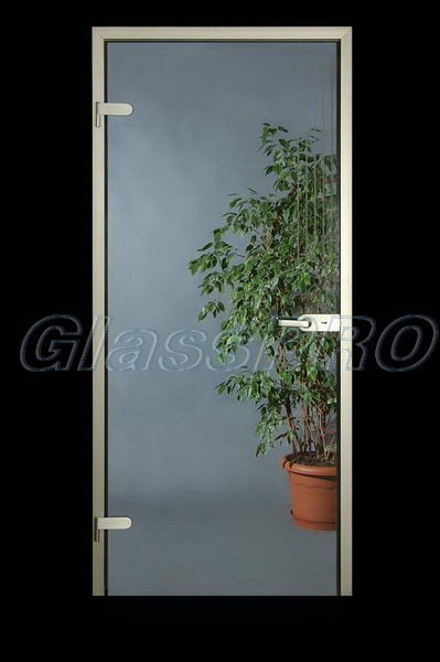 Glass interior doors