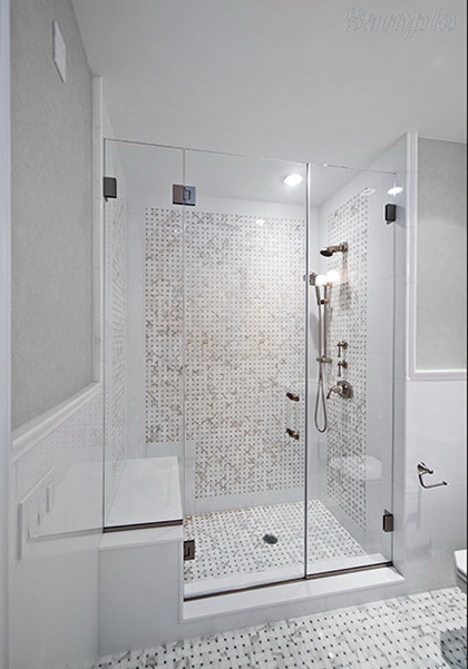 Model SD-04. Glass shower door between two fixated elements