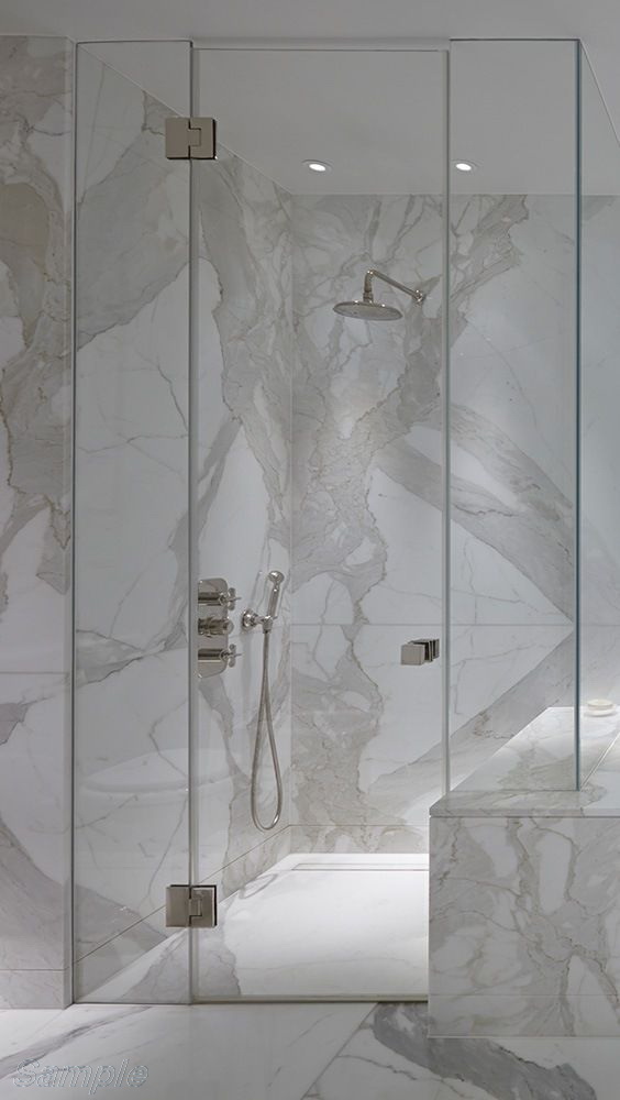 Model SD-04. Glass hinged shower door between two fixated elements